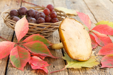 Autumn still life with mushroom, grapes in wicker basket, green, yellow and red leaves