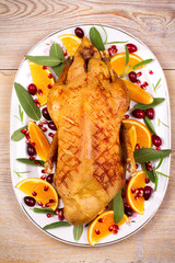 Whole duck with oranges, berries, sage and rosemary. View from above, top studio shot