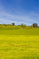 Pastures in Switzerland © George