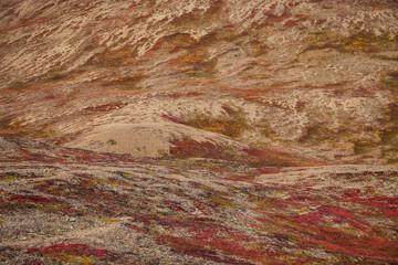 Gavriila Bay, tundra colours in Autumn, Russia