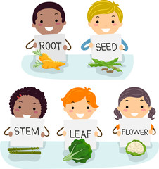 Stickman Kids Vegetable Types Illustration