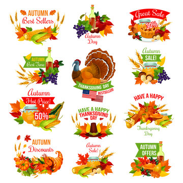 Thanksgiving autumn vector isolated sale icons