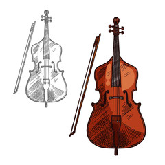 Vector sketch contrabass violin music instrument