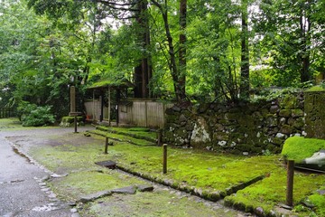 苔がきれいな日本の神社