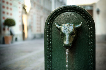 Toret, typical public fountain of Turin (Italy). There are almost 800 "toret" in the city, all made of cast iron and with bull shape in late XIX century