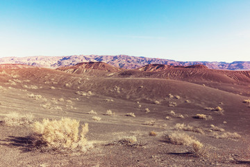 Nevada landscapes