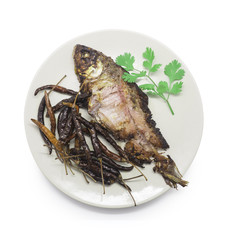 Fried pickled fish, carp fish and dried chilli with coriander on white dish. Isolated on white background. Clipping path include.