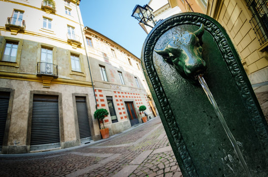 Toret, typical public fountain of Turin (Italy). There are almost 800 "toret" in the city, all made of cast iron and with bull shape in late XIX century.