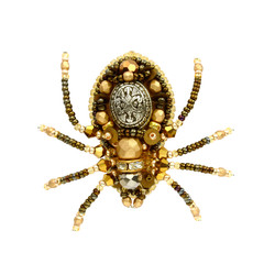 Golden royal spider brooch. Isolated