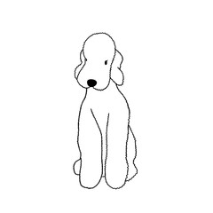 푸들