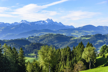 Fototapeta na wymiar Naturlandschaft in der Ostschweiz
