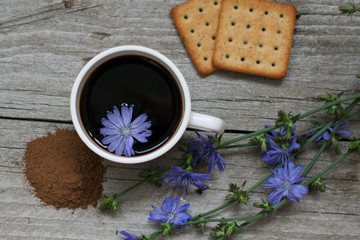 chicory