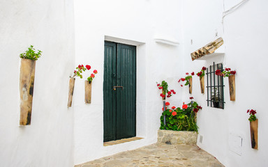 Fototapeta na wymiar Hauseingang mit Blumenschmuck bei weißem haus in Andalusien