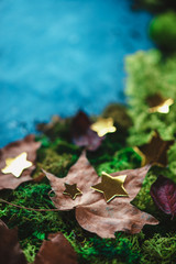 Autumn leaves on a green moss with golden stars. Fall header with copy space in cold tones.