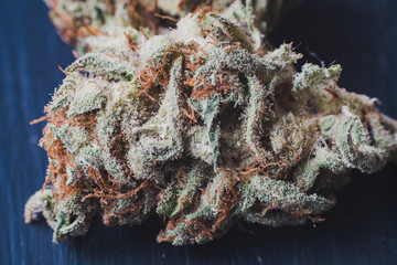 marijuana, cannabis macro trichomes thc flower Sativa critical never haze. Shallow focus effect.