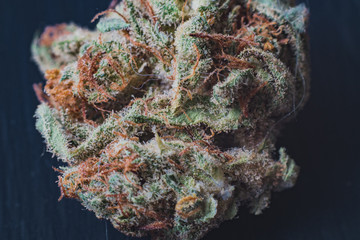 marijuana, cannabis macro trichomes thc flower Sativa critical never haze. Shallow focus effect.