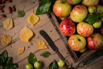 Freshly  apples in an old vintage wooden crate 