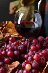 Red wine and grape .