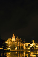 Fototapeta na wymiar Vajdahunyad Castle on a summer night in Budapest