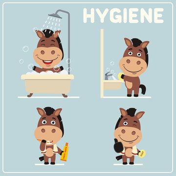 Collection isolated of horse in cartoon style for rules of child hygiene. Set of funny horse is hygiene: showering, washing hands, brushing her teeth.