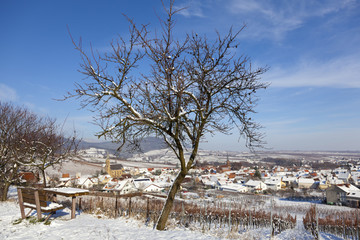 Weindorf Birkweiler im Winter