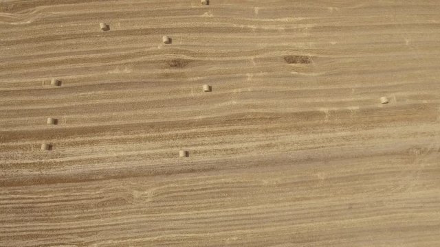 Flying over cultivated land