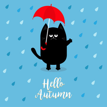 Hello autumn. Black cat holding red umbrella. Rain drops. Angry sad emotion. Hate fall. Cute funny cartoon baby character. Pet animal collection. Blue background. Isolated.