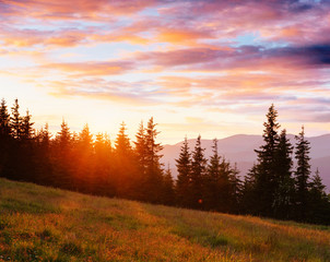 Naklejka na ściany i meble mountain range in the Carpathian Mountains in the autumn season. Fantastic sunset. Ukraine, Europe