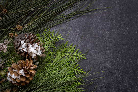 Christmas background with branches