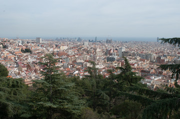 Fototapeta na wymiar Vista aérea de Barcelona con un bosque delante