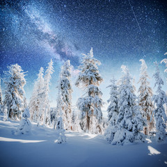 starry sky in winter snowy night. fantastic milky way in the New Year's Eve. In anticipation of the holiday. Dramatic scene. Carpathian. Ukraine