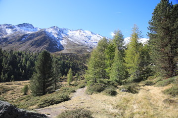 Obraz premium Berglandschaft