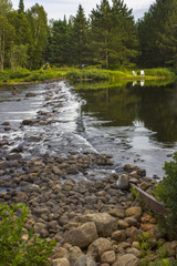 Fototapeta na wymiar river with rocks in a forest