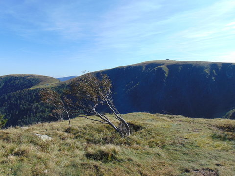 Col de la schlucht - Vosges