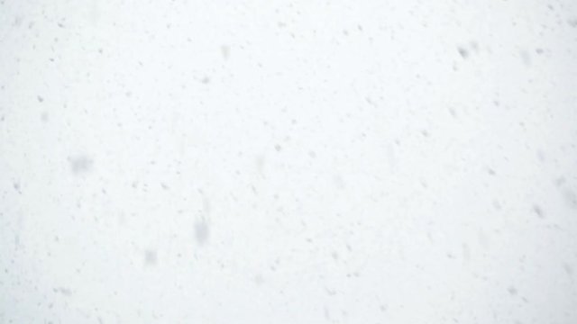 Snowfall - Falling snow flakes