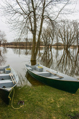 two canoes on a flooded land