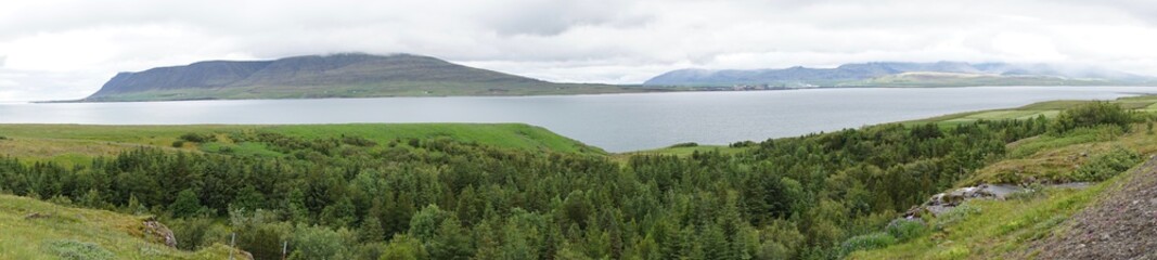 Fototapeta na wymiar Landschaft am Hvalfjörður / Walfjord im Süd-Westen Islands