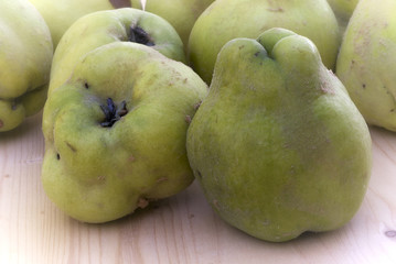 Ripe quince fruit (Cydonia oblunga)
