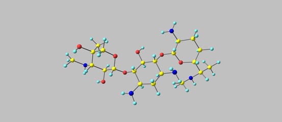 Gentamicin molecular structure isolated on grey