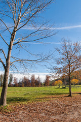 Amaing Autumn Landscape near mount Rigi and lake Luzerne, Alps, Switzerland