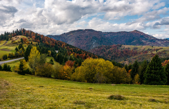 autumnal scenery in Carpathian mountains. beautiful countryside with colorful foliage forest on a cloudy day