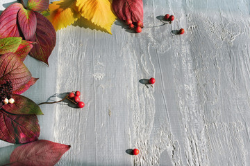 autumn decorations of leaves on a wooden background