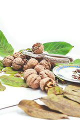 pile of walnuts lying on leaves. Near Nutcracker and saucer