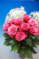 薔薇の花