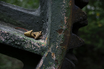 Close-Up Of Dried Leaf On Rusty Cog Wheel During Autumn