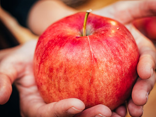 woman hand with big red apple