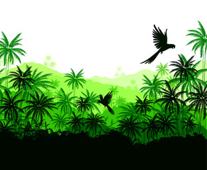 Obraz premium Green palms and parrots