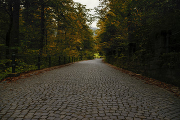 Scenic View Of Mysterious Cobblestone Alley Against Overcast Sky During Autumn