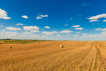 Wheat field after harvest with straw bales at sunset