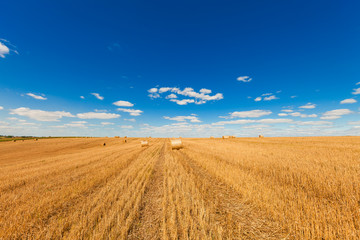 Fototapeta premium Wheat field after harvest with straw bales at sunset
